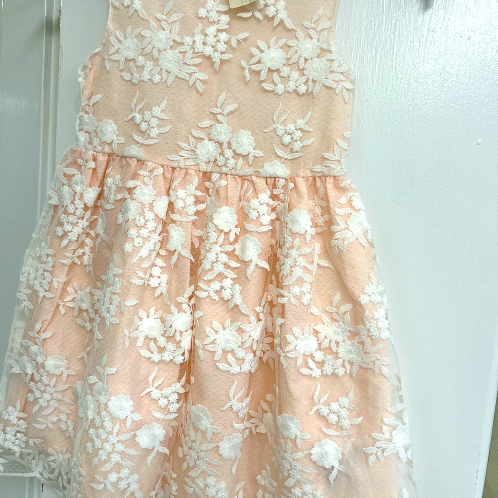 Beautiful girls peach lace dress.